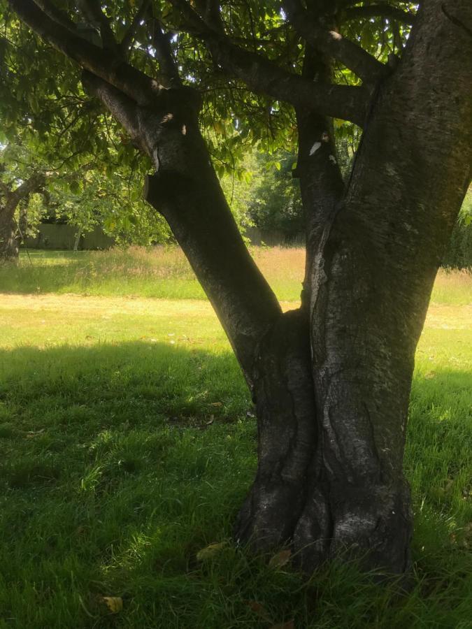 Redbrook Farm Bnb - Gateway To The New Forest Fordingbridge Exterior foto
