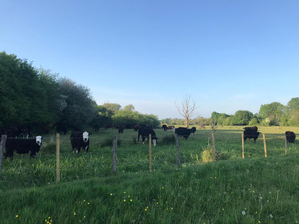 Redbrook Farm Bnb - Gateway To The New Forest Fordingbridge Exterior foto
