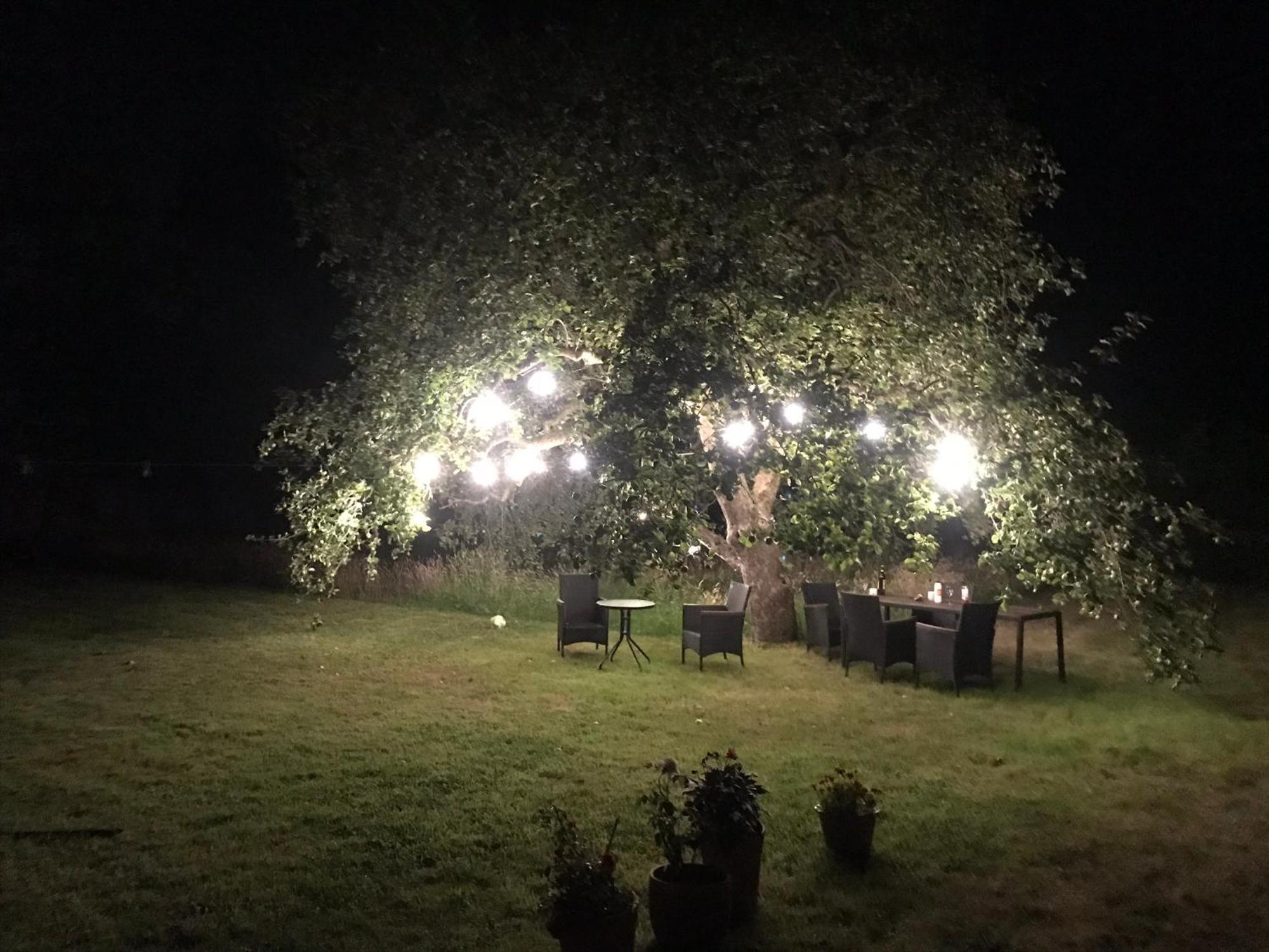 Redbrook Farm Bnb - Gateway To The New Forest Fordingbridge Exterior foto