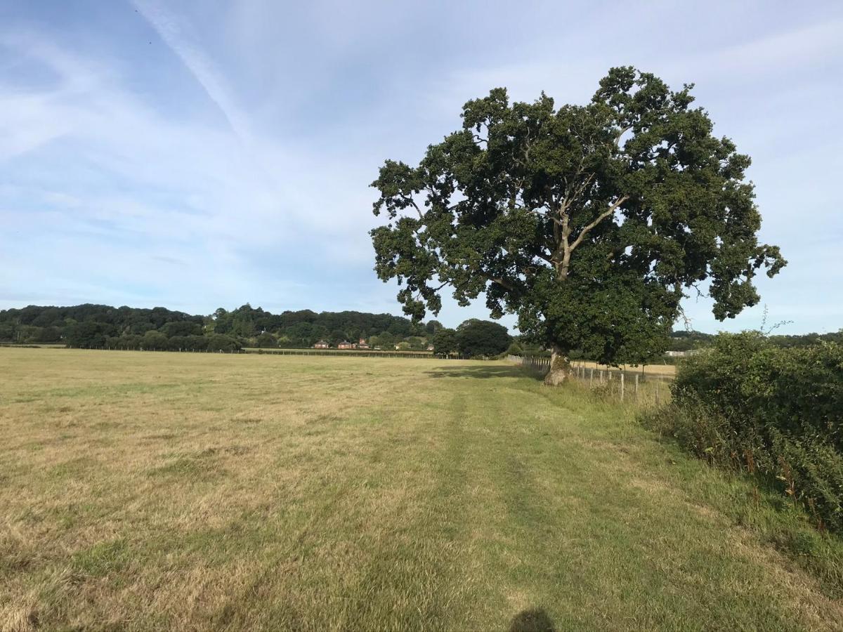 Redbrook Farm Bnb - Gateway To The New Forest Fordingbridge Exterior foto