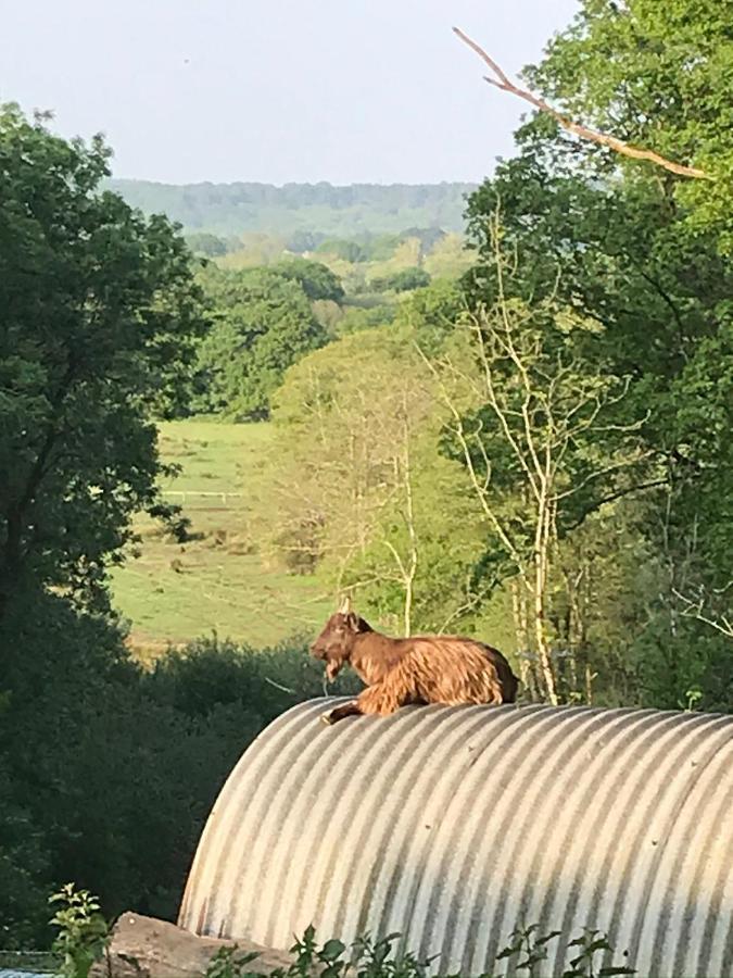 Redbrook Farm Bnb - Gateway To The New Forest Fordingbridge Exterior foto